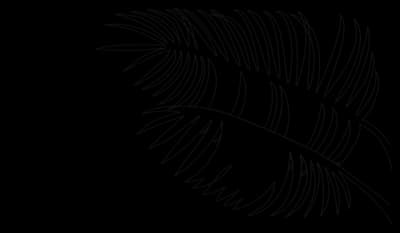 drawing of palm leaves